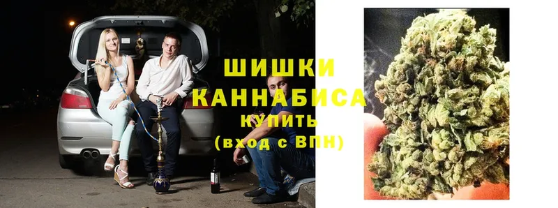 как найти закладки  блэк спрут сайт  Конопля OG Kush  Истра 